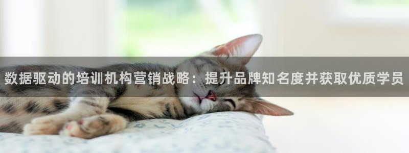 必赢官网网站入口下载