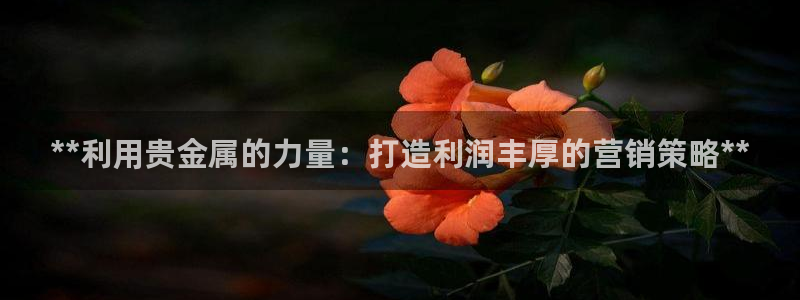 必赢官网app下载安装最新版本