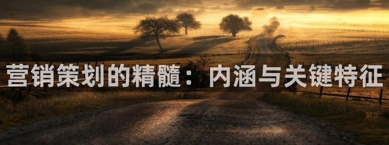 必赢766