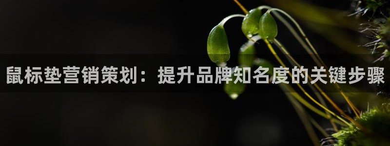 必赢客官方
