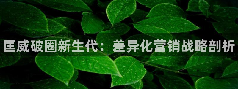 必赢下载安卓版下载