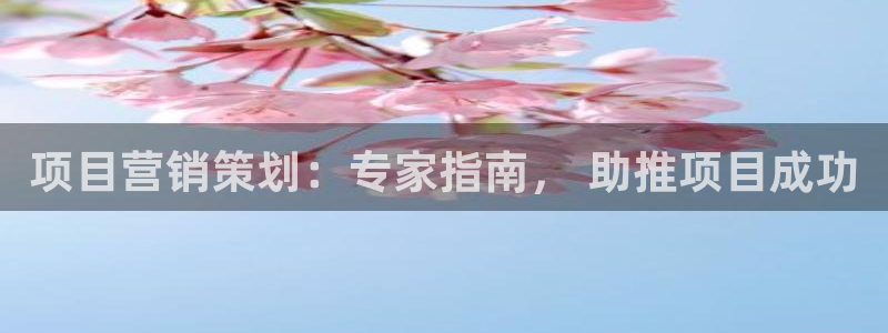 必赢国际的网站多少