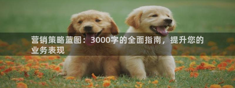 必赢客官方