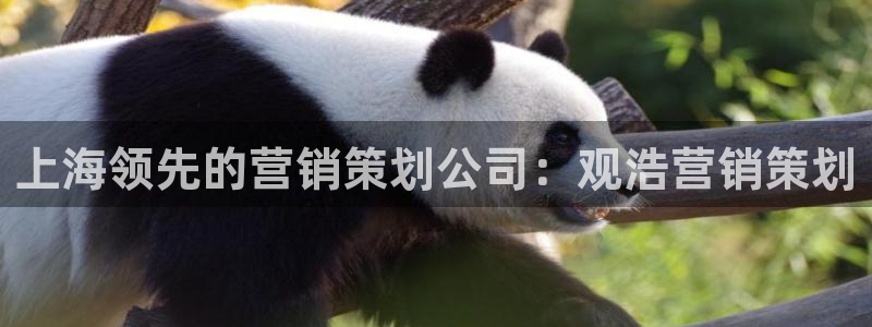 必赢官网网址多少号登录不了