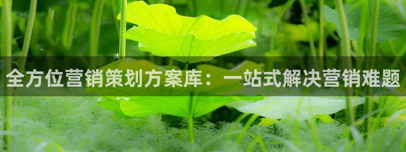 必赢官网app下载苹果版