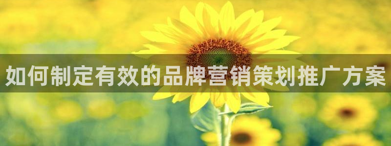 必赢公司是怎样的一家企业
