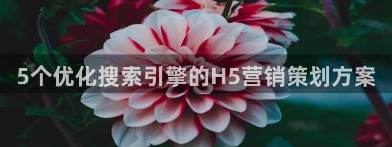 必赢国际app下链接