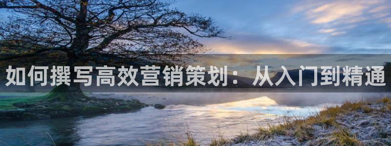 必赢国际技巧
