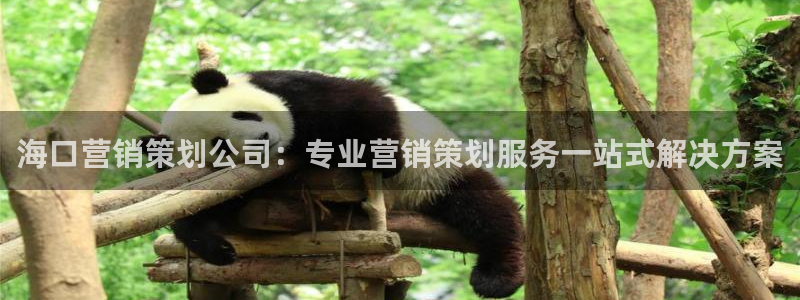 必赢网址手机主页在哪