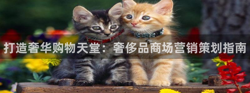 必赢国际官网登录