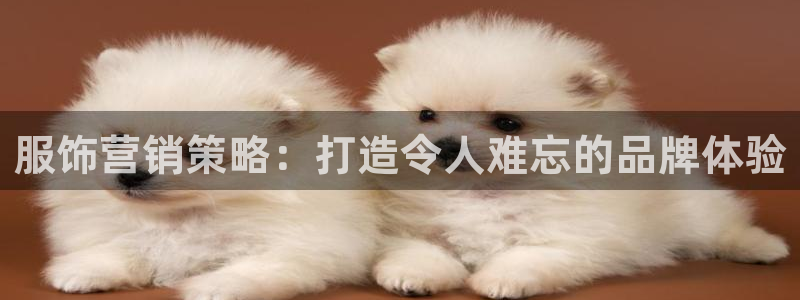 必赢集团网站