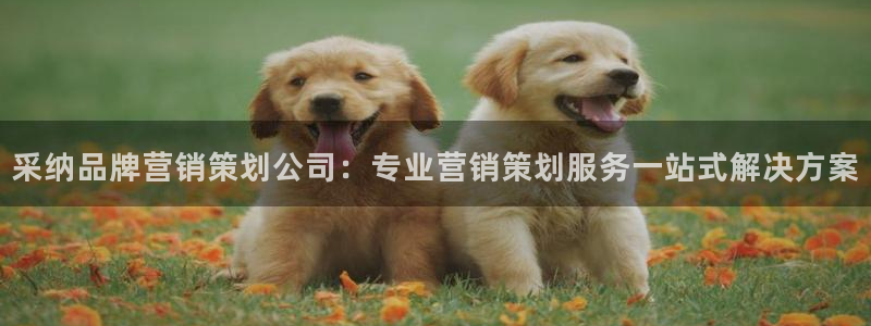 必赢官网入口下载app