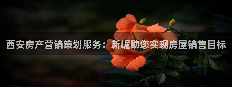 必赢平台官方网站