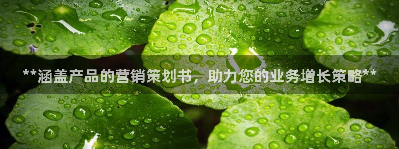 必赢官网网站入口