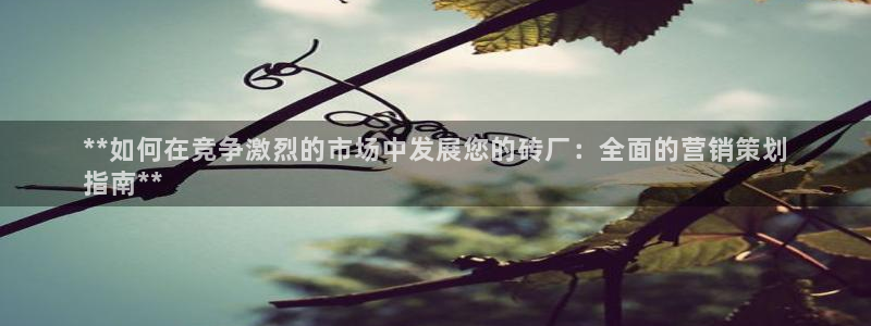 必赢公司是怎样的一家企业