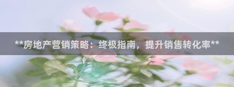 必赢app客户端下载官网手机版