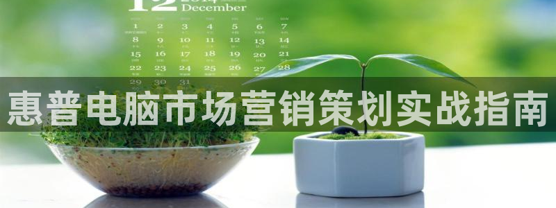 必赢网站进去