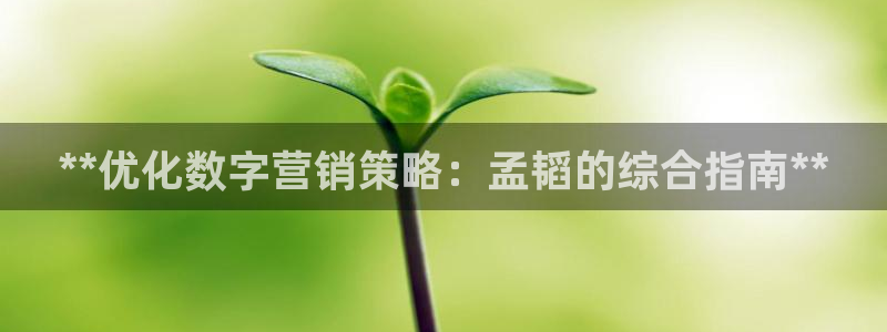 必赢手机app下载 最新版安卓苹果