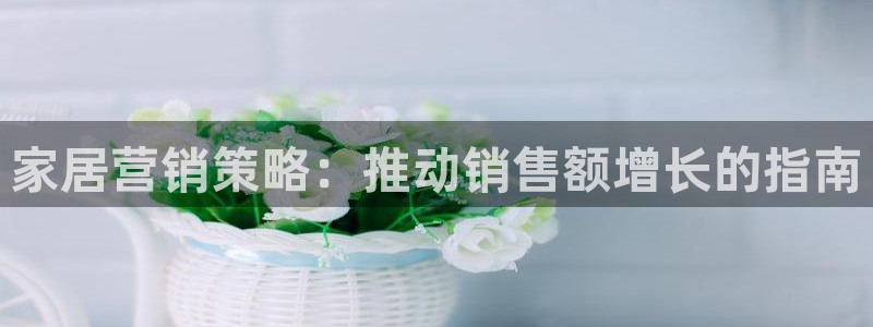 必赢账号