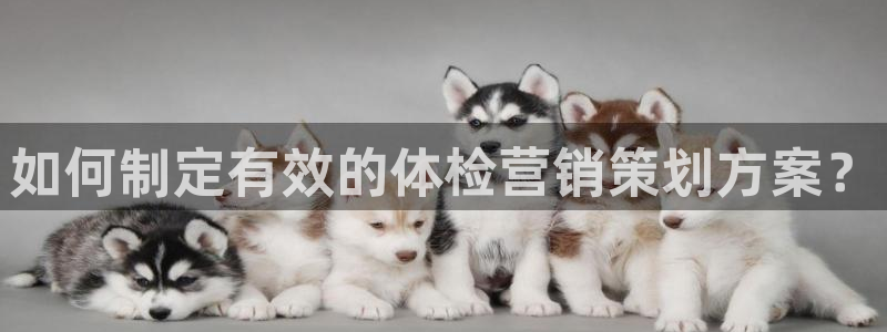 必赢亚赢网站官网下载安卓版