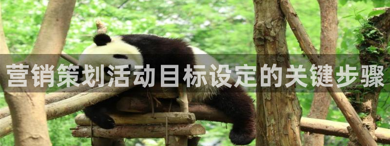 必赢下载