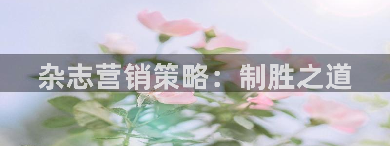 必赢.apk