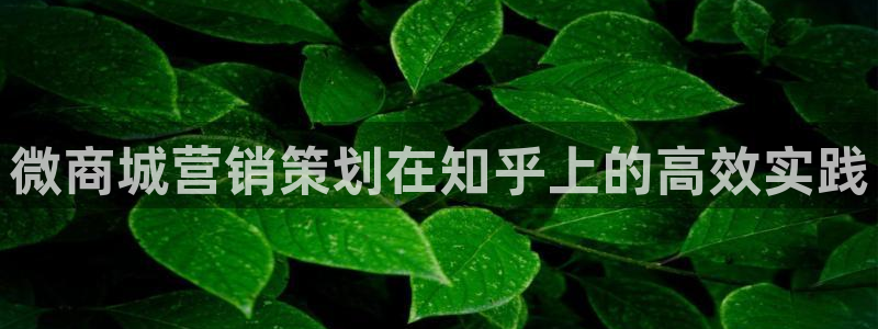 必赢最新