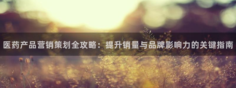 必赢手机app下载官网最新版