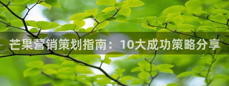 必赢最新消息