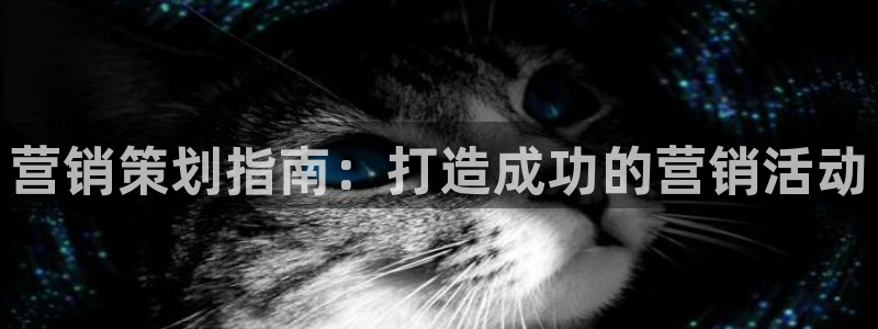 必赢官网app下载安装