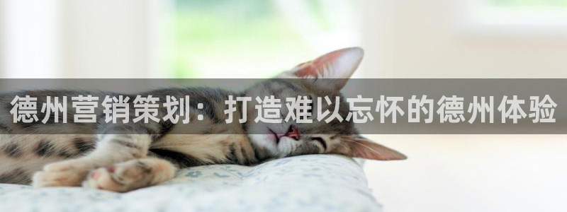 必赢官网app下载安装最新版