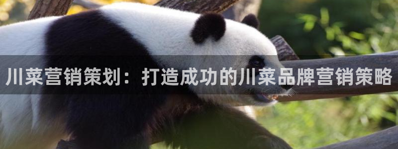 必赢888国际集团