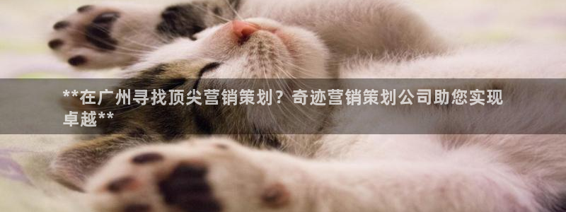 必赢官网app下载安装最新版