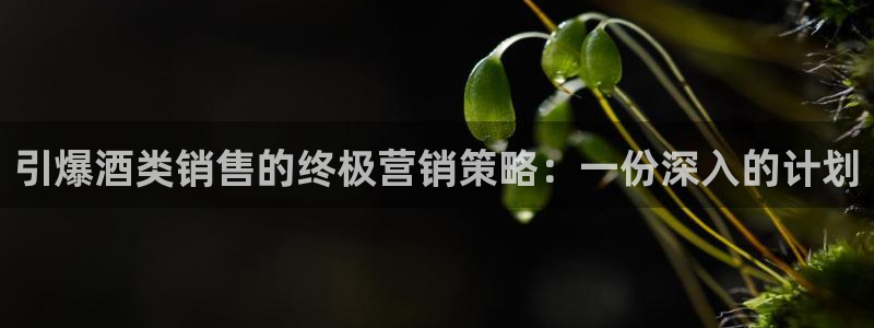 437437必赢国际怎么充不了钱