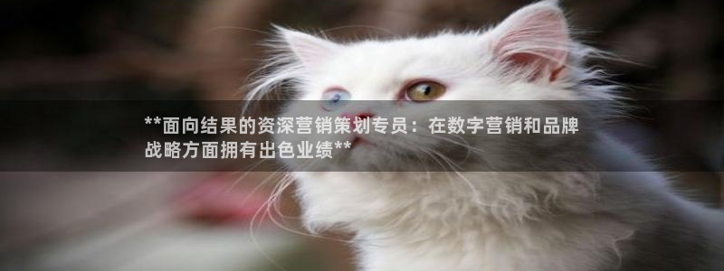 必赢集团网站官网