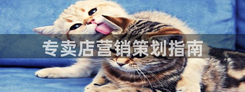 必赢线上网址查询