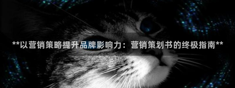 必赢qp
