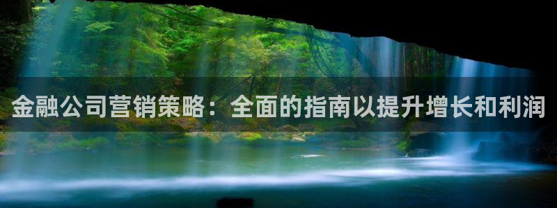 必赢必赢：金融公司营销策略：全