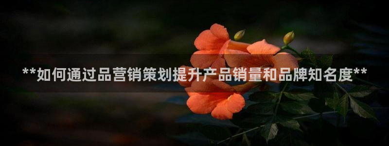 必赢的意思是什么