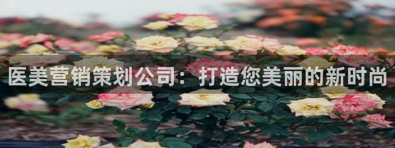 必赢棋盘app下载